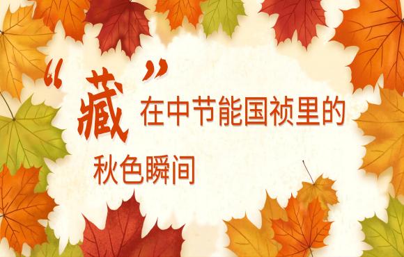 四季国祯丨“藏”在918博天堂官网里的秋色瞬间